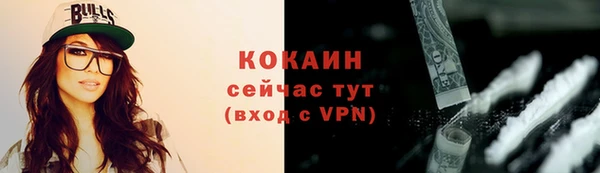 мескалин Новодвинск
