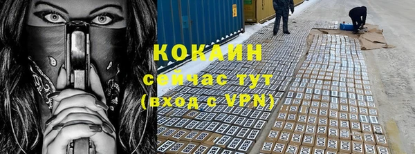 дмт Новозыбков