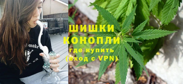 дмт Новозыбков