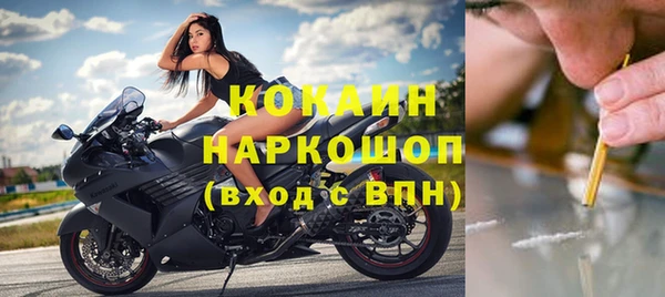дмт Новозыбков