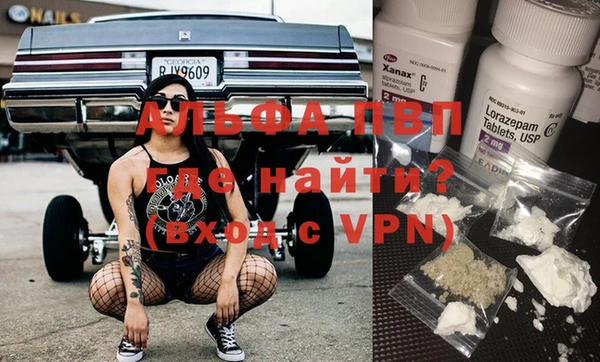 стафф Новокубанск